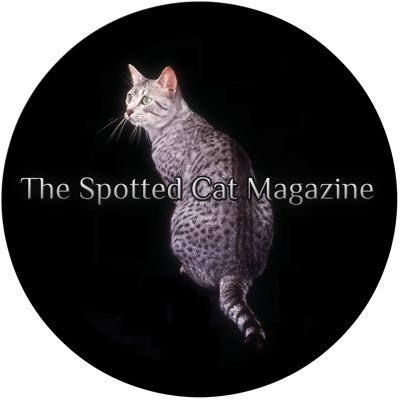 TheSpottedCat Profile