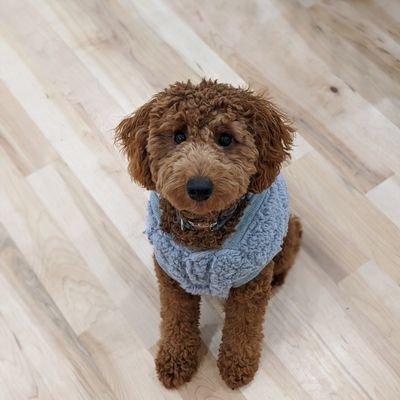 TheDucky16's profile picture. 