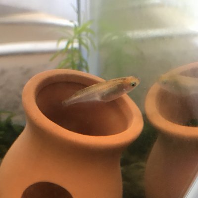 yosipi_blog's profile picture. 2020年個別指導塾教室長を辞め未経験の業界に転職。現場監督に付いて勉強中。資格あれこれ取ります(`･ω･´)
教育に関することなんでも聞いてください📒詳細は固定ツイートに。
ブログ勉強中。

ビジネス系の方→ラーメン食べたいので【家から出ずに1000円】稼がせてくれるならお話聞きますよ✋