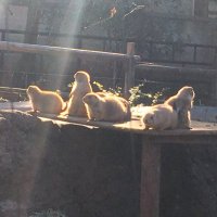 kia☺︎ (@nevada00000) Twitter profile photo