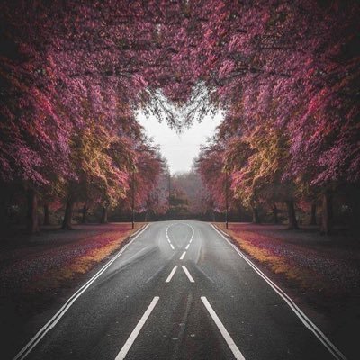 Abd2010Anas's profile picture. ✈️