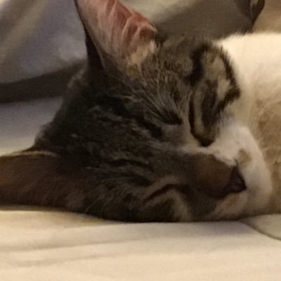 dadabestike's profile picture. For he must reign, until he hath put all his enemies under his feet. And the enemy death shall be destroyed last. 2 Corinthians 15:25