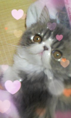 🌈はるの🌈✨✨✨✨✨さんのプロフィール画像