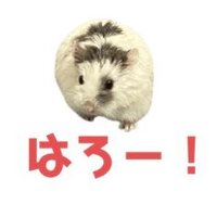 ひかり(@ZhongguoTaishan) 's Twitter Profile Photo
