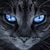 José Donizete Anselmo (@jonsdoni) Twitter profile photo