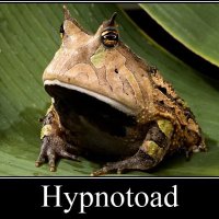 HypnoTree (@hypno_tree) 's Twitter Profile Photo