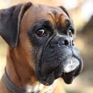 Steven --CA.-- DM=BLOCK🏃♀️🏃🦽🙎🏿🙎🦅🐶🐱💓🇺🇸 (@steven33063379) 's Twitter Profile Photo Steven --CA.-- DM=BLOCK🏃♀️🏃🦽🙎🏿🙎🦅🐶🐱💓🇺🇸 (@steven33063379) 's Twitter Profile Photo