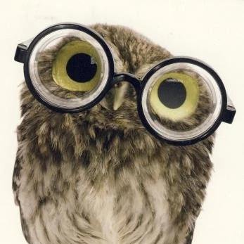 Anthoz97's profile picture. hey.