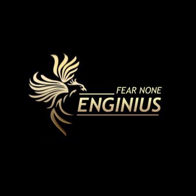 @snr_enginius
