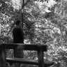 jsdollars_sense's profile picture. My passions are real estate, dividend investing, passive income, and crypto!  Follow me to stay current with my Tweets!