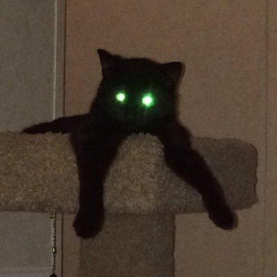 tyler420699's profile picture. 