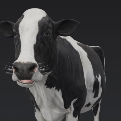 anari4949's profile picture. 世の中たいへん。就活中。昭和じゃないのよ令和は HA HAN。少子化で消滅する運命なら、つまらない事にこだわらず「ええじゃないか」でええじゃないか。 フォロバします。