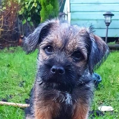 A pupster who wants to meet lots of BT buddies