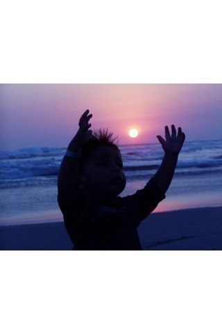 limonlason's profile picture. 