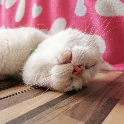 3AS7CFBdJJvPnEu's profile picture. 