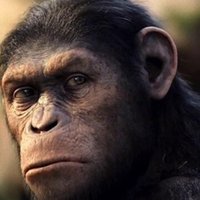 César (@yukazurai) 's Twitter Profile
