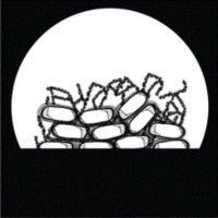 The Chai Research group (@lab_chai) 's Twitter Profile