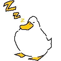 Jin_pkmn's profile picture. ポケモン好きな方々と繋がりたいパパポケ勢／色厳選したり、ダブルランクバトル潜ったりしています／好きなポケモンはミロカロス／TNはキララ、時々きよぽん