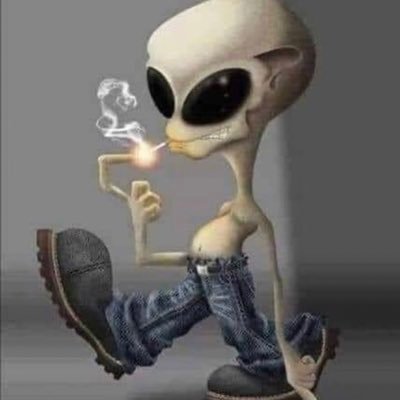 BOUKHAROUBAAhm1's profile picture. je suis un mélomane et passionné de musique depuis mon plus jeune âge