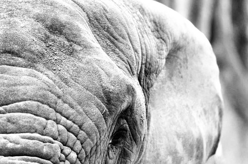 tetraphoenix's profile picture. We better start thinking about how to handle abundance!