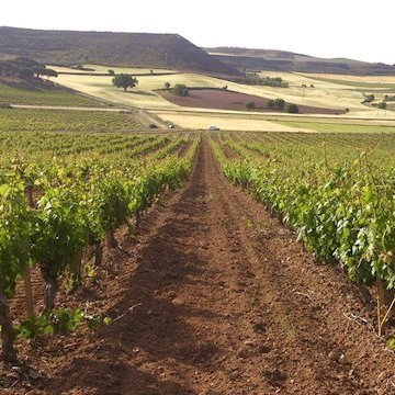 Información sobre la comarca natural de la Ribera del Duero.