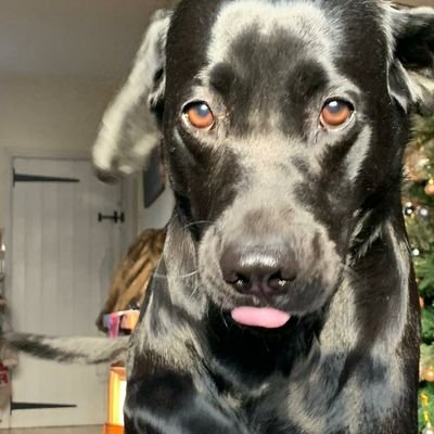 TomWoodall92's profile picture. 