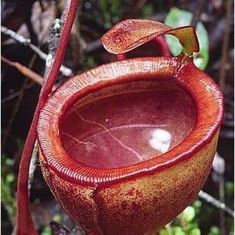 KannanR82364916's profile picture. kannan