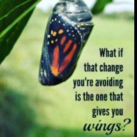 Transform (@mwewa16) 's Twitter Profile