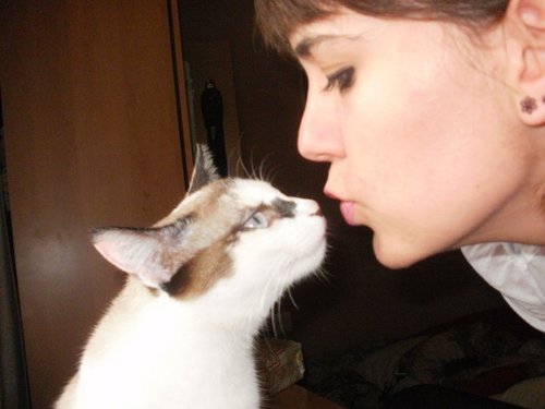 todomachi's profile picture. 