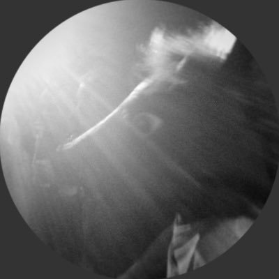 tobias82813903's profile picture. Nazis fliegen rau s