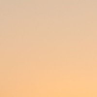 AZ (@attomzhang) 's Twitter Profile