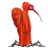 ShortmovieBird1