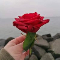 Djmiladeya (@djmiladeya1) 's Twitter Profile