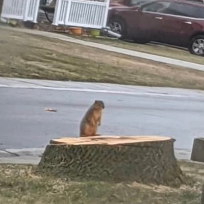 o5wszpuVQuU38CA's profile picture. تنهای تنها