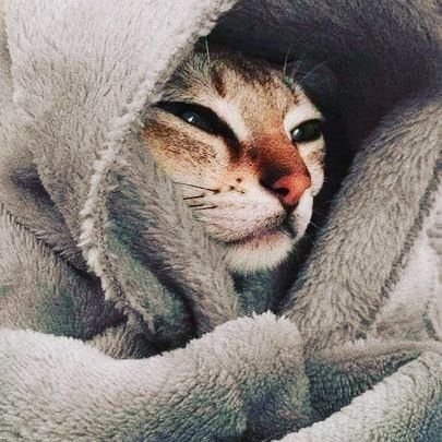 студент медик. люблю поныть, о том что медик. гляжу на мир через призму мемов.