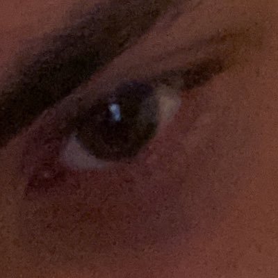 Hello, I don’t really use twitter much but hope u like my content!                                Check out my tiktok:@MeedoLyf               IG : meed4speed