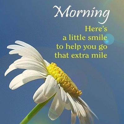 JITENDE09254222's profile picture. forever living products
