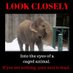 Marlene❤️🐘❤️LucyCrew🐘❤️🐘 (@bothaimarlene) Twitter profile photo Marlene❤️🐘❤️LucyCrew🐘❤️🐘 (@bothaimarlene) Twitter profile photo