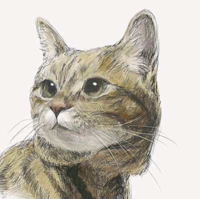 柴マコトさんのプロフィール画像