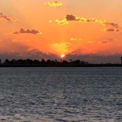 ghjfddhx's profile picture. 