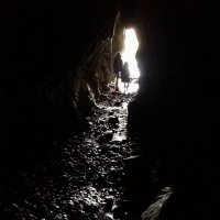 grADHDitude🙏 (@gradhditude) 's Twitter Profile Photo