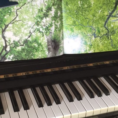 ”いつか森の中に432hzのピアノを置いたホールを作りたい” …chill out piano, 時々kalimba♪ 屋久島, 明るいフラットアース, happy flat earther, 老子とTao（道）