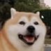Andy (@andygeims) Twitter profile photo Andy (@andygeims) Twitter profile photo