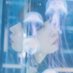 梅田桃子の不思議な生活 (@momoko_fushigi) Twitter profile photo 梅田桃子の不思議な生活 (@momoko_fushigi) Twitter profile photo