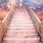 AllenGa5661's profile image