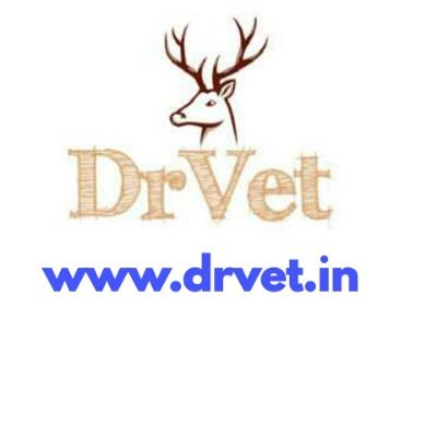 Drvet29 Profile Picture