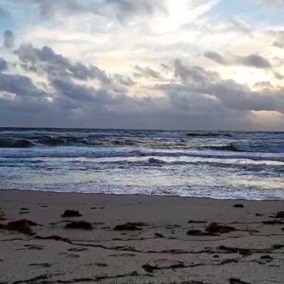 aceliving2's profile picture. 