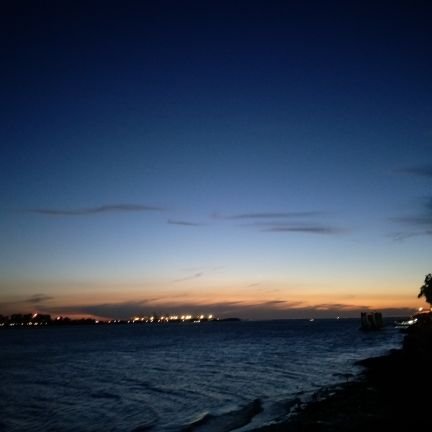 C8qPkUeDUGPSJ0Z's profile picture. 每天被黃金鼠戲弄的布丁🦝