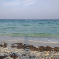 Iambagr (@iambagr) 's Twitter Profile