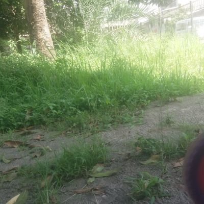 Gundul28821879's profile picture. 